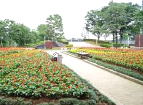 公園　川口西公園（公園）まで371m