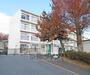 小学校　富士見小学校（小学校）まで522m