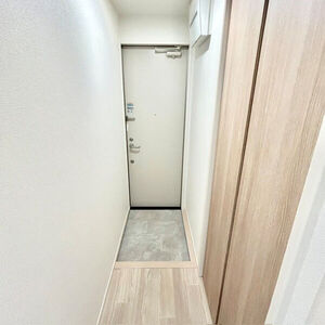カラコレスのその他写真