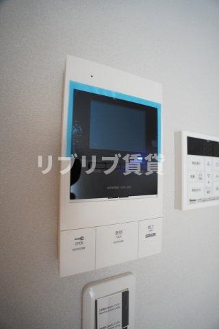 Tac Hillsのその他写真