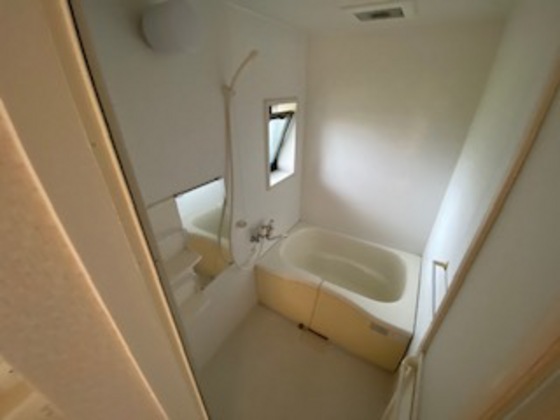 バス・シャワールーム　※別部屋の写真です