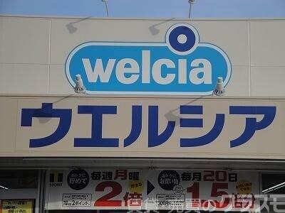 ドラックストア　ウエルシア堺深井清水店（ドラッグストア）まで736m