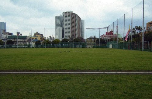 公園　横浜市岡野公園（公園）まで817m