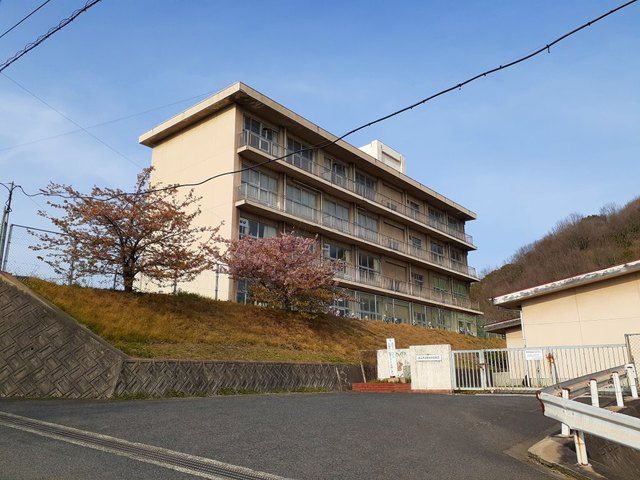 小学校　野々浜小学校（小学校）まで550m