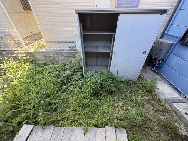 庭