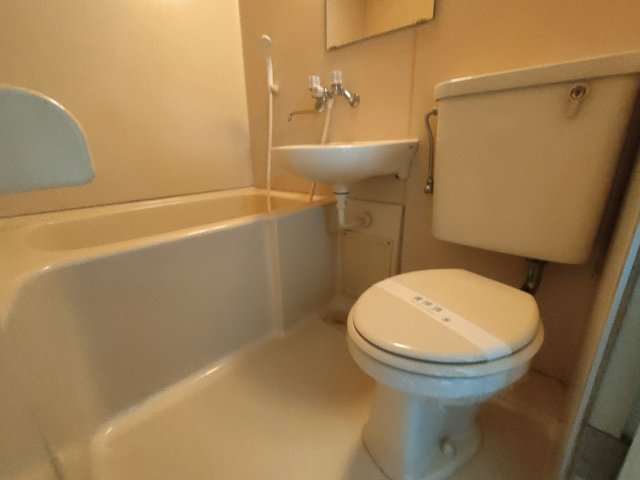 フラワーサンパレスのトイレ写真