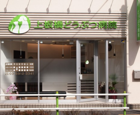 病院　上板橋どうぶつ病院（病院）まで256m