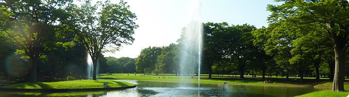 公園　代々木公園（公園）まで1178m