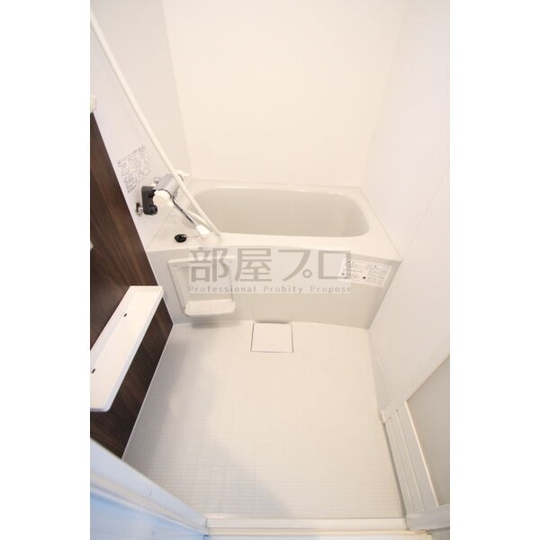 Polaris sakaedoriの風呂写真