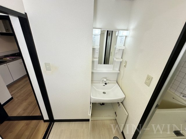 洗面設備　イメージ（同建物内別部屋の写真です）