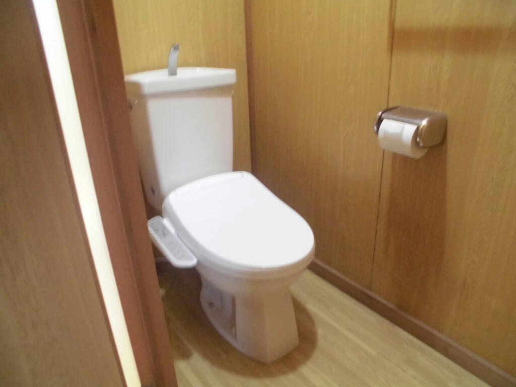 ソレイユ小出のトイレ写真