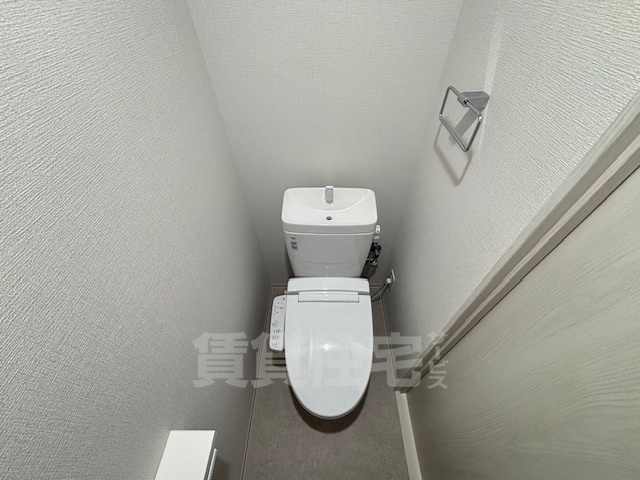 南海本線 湊駅 徒歩10分 11階建 築2年のトイレ写真