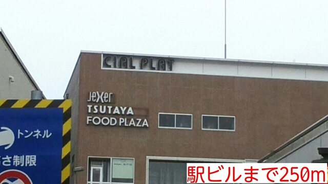 その他　駅ビル（その他）まで250m