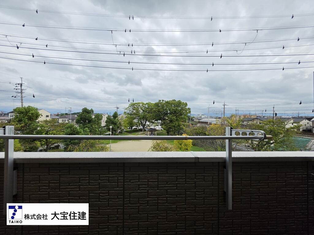 眺望