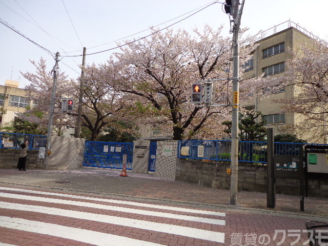 小学校　市立豊新小学校（小学校）まで50m