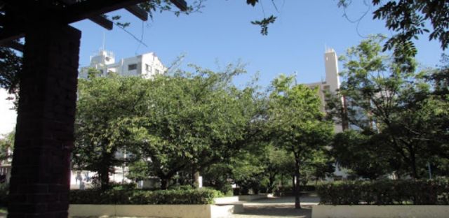 【大阪市北区松ケ枝町のマンションの公園】