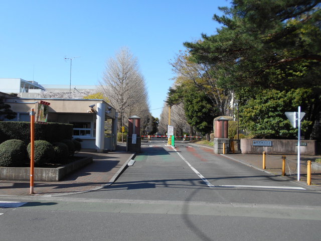 【小金井市東町のアパートの大学・短大】