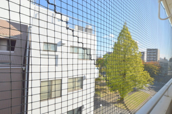 眺望　※別号室の写真です。