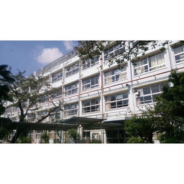 小学校　三軒茶屋小学校（小学校）まで240m