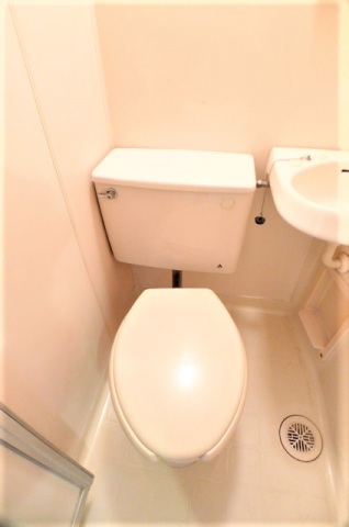 トイレ　※他号室の写真です。