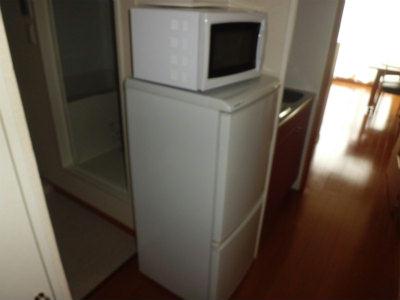 その他　冷蔵庫と電子レンジ。