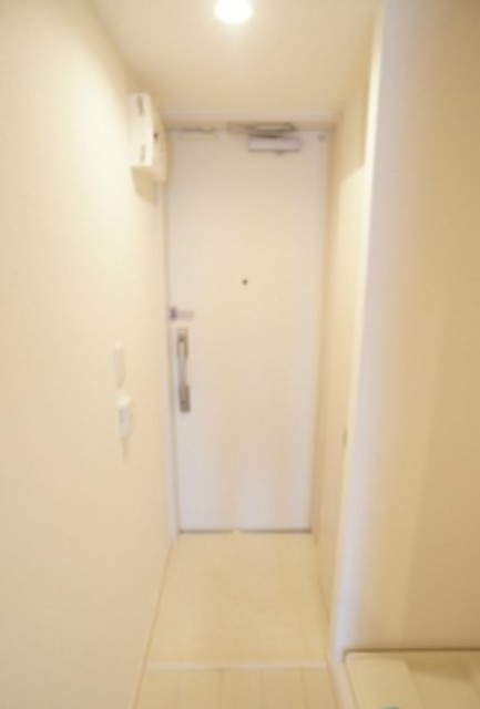 玄関　別部屋同仕様