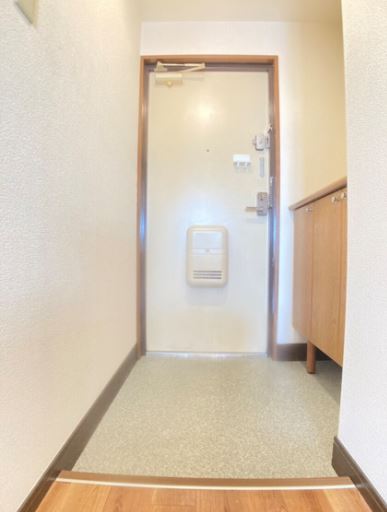 玄関　この写真の反転タイプになります。