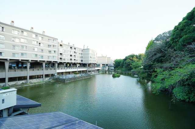 その他　団地敷地内中央にある池