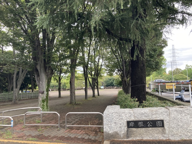 その他　岸根公園（その他）まで1028m
