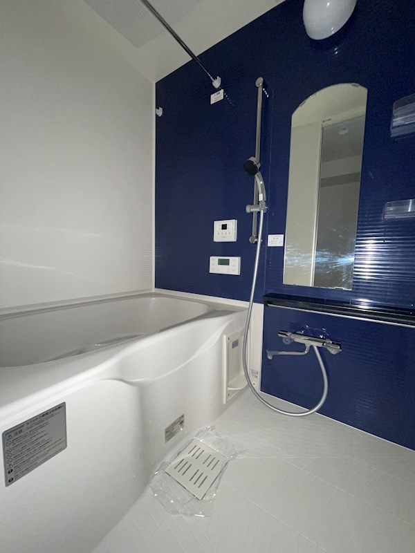 バス・シャワールーム　落ち着いた空間のお風呂です