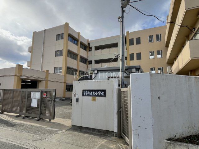 小学校　松原市立松原東小学校（小学校）まで153m