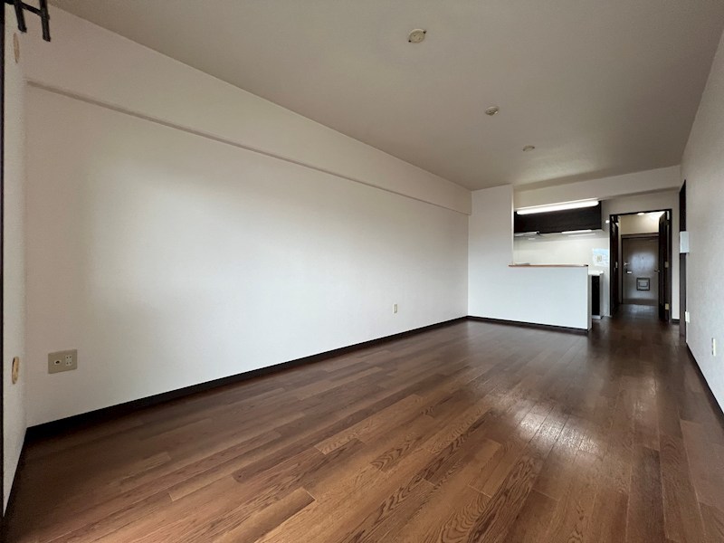 居室・リビング　同仕様写真(反転タイプ)