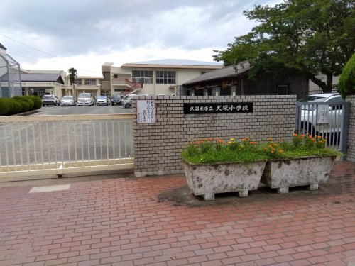 小学校　久留米市立犬塚小学校（小学校）まで918m