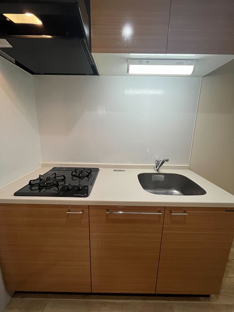 キッチン　同物件別号室のものです。