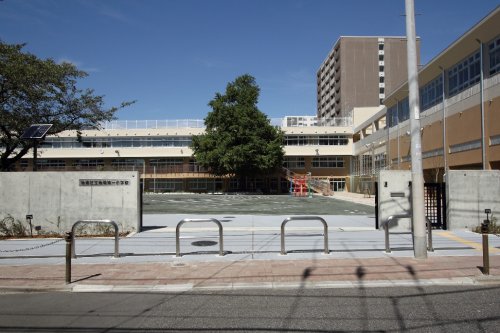 小学校　板橋第一小学校（小学校）まで16m