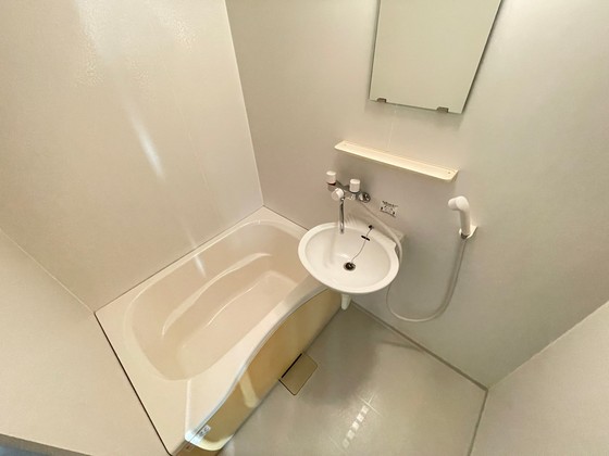 バス・シャワールーム　※別部屋の写真です