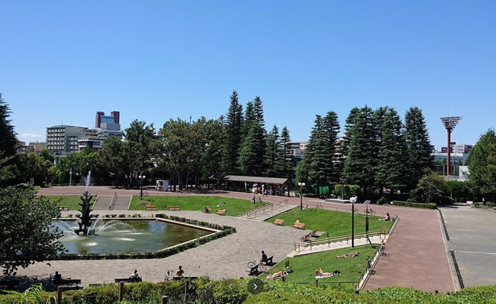 公園　世田谷公園（公園）まで657m