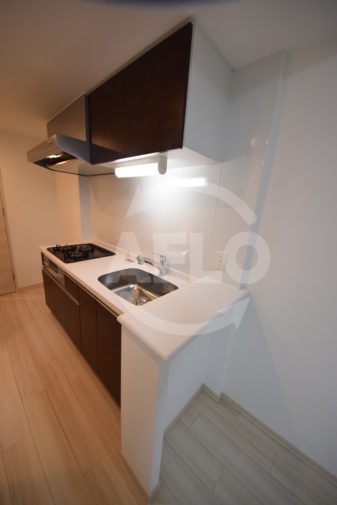 キッチン　スプランディッド難波元町　カウンターキッチン