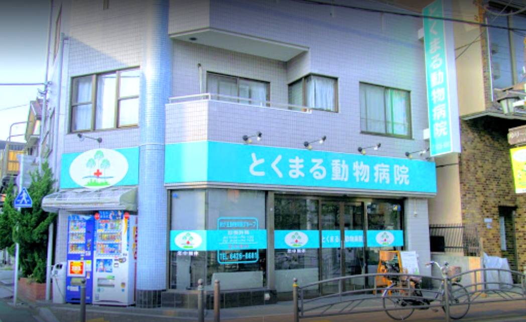 病院　光が丘動物病院とくまるクリニック（病院）まで627m