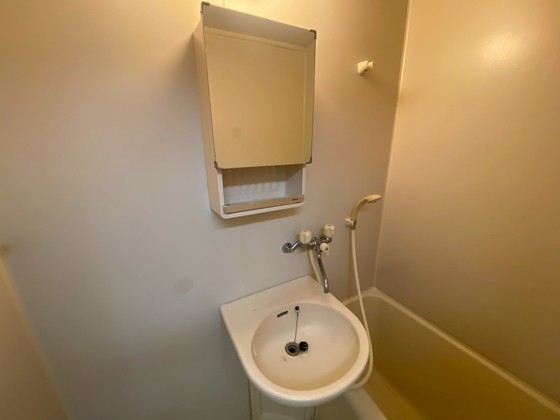 洗面設備　※別部屋の写真です
