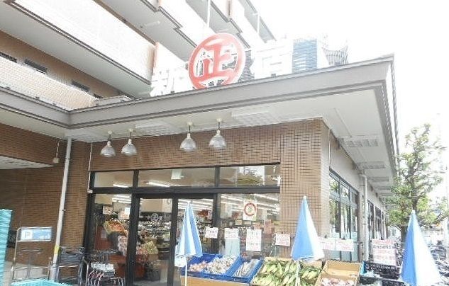 スーパー　丸正食品（スーパー）まで1100m