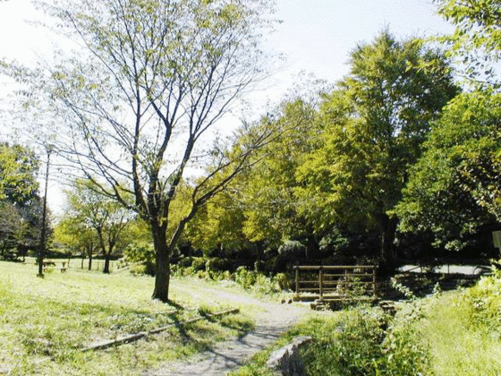 公園　神田公園（公園）まで160m