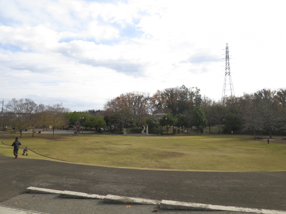 公園　わらび近隣公園（公園）まで266m