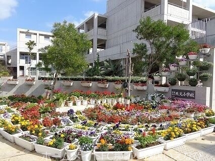 小学校　那覇市立天久小学校（小学校）まで245m