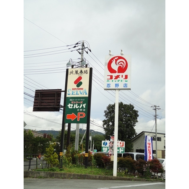 スーパー　セルバ忍野店（スーパー）まで1564m