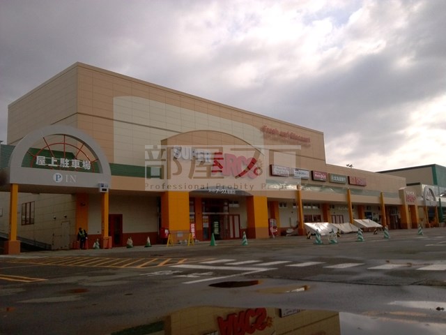 スーパー　スーパーアークス菊水店（スーパー）まで666m