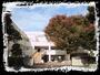中学校　海老名市立今泉中学校（中学校）まで757m