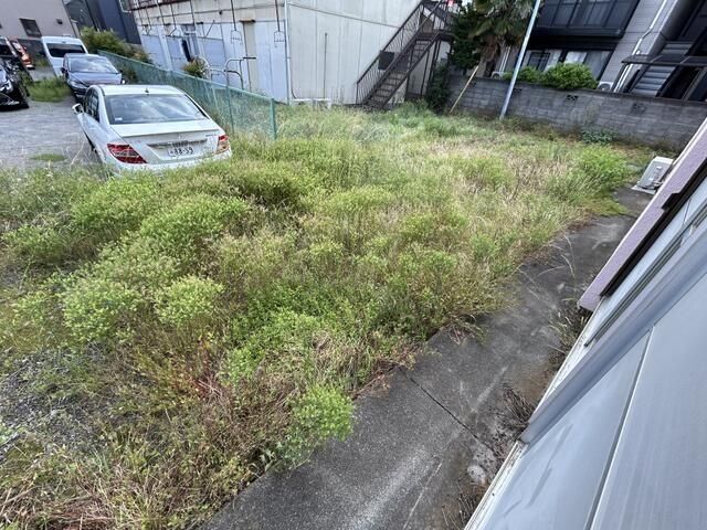 庭