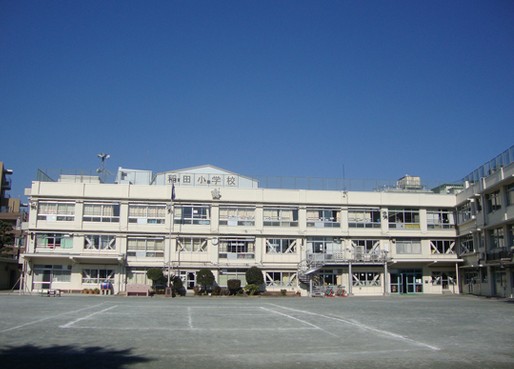 小学校　北区立 稲田小学校（小学校）まで453m