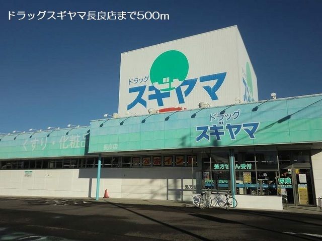 ドラックストア　ドラッグスギヤマ長良店（ドラッグストア）まで500m